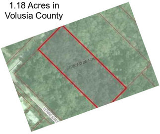 1.18 Acres in Volusia County