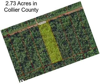 2.73 Acres in Collier County