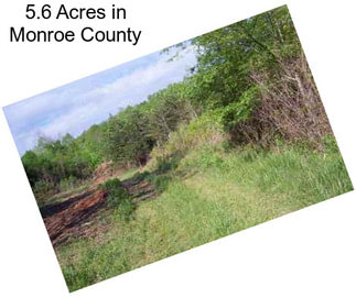 5.6 Acres in Monroe County