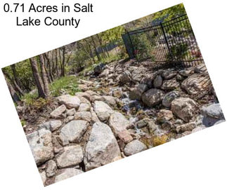 0.71 Acres in Salt Lake County