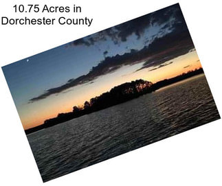 10.75 Acres in Dorchester County