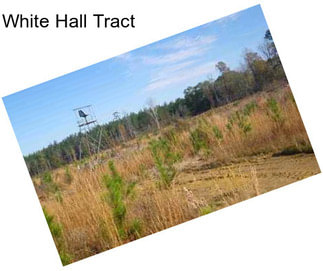 White Hall Tract