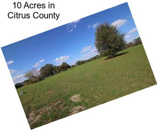 10 Acres in Citrus County