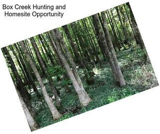 Box Creek Hunting and Homesite Opportunity