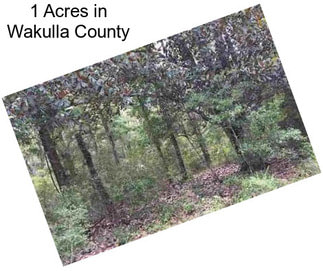 1 Acres in Wakulla County