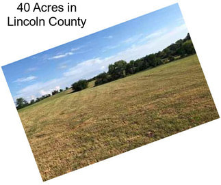 40 Acres in Lincoln County