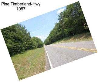 Pine Timberland-Hwy 1057