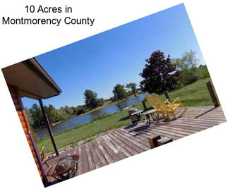 10 Acres in Montmorency County