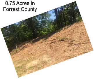 0.75 Acres in Forrest County