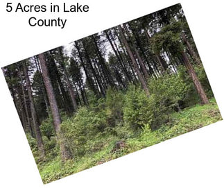 5 Acres in Lake County