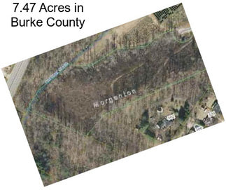 7.47 Acres in Burke County