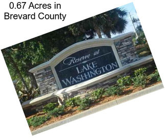 0.67 Acres in Brevard County