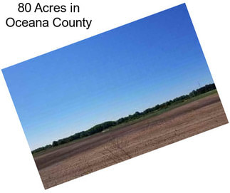 80 Acres in Oceana County
