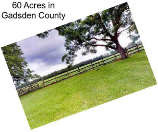 60 Acres in Gadsden County