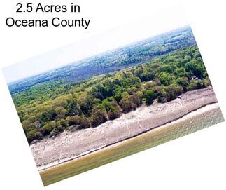 2.5 Acres in Oceana County