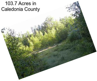 103.7 Acres in Caledonia County