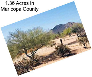 1.36 Acres in Maricopa County