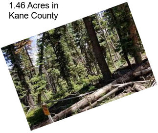 1.46 Acres in Kane County