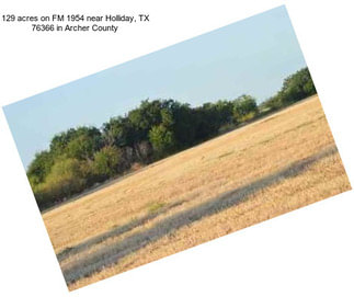 129 acres on FM 1954 near Holliday, TX 76366 in Archer County