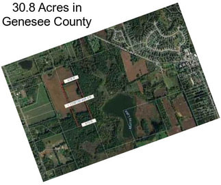30.8 Acres in Genesee County