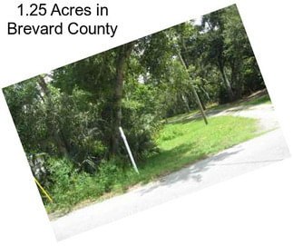 1.25 Acres in Brevard County