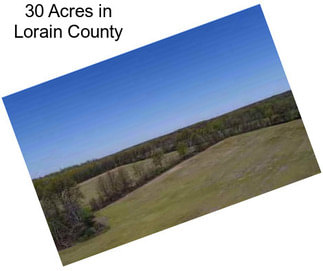 30 Acres in Lorain County