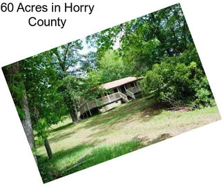 60 Acres in Horry County