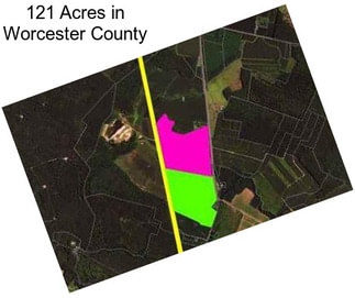 121 Acres in Worcester County