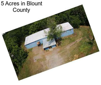 5 Acres in Blount County