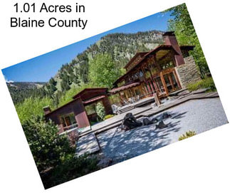 1.01 Acres in Blaine County