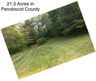 21.3 Acres in Penobscot County