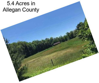 5.4 Acres in Allegan County