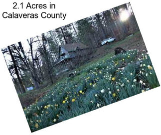 2.1 Acres in Calaveras County