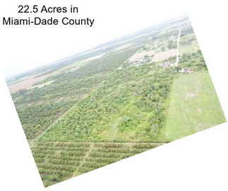 22.5 Acres in Miami-Dade County