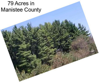 79 Acres in Manistee County