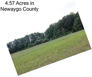 4.57 Acres in Newaygo County