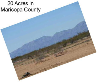 20 Acres in Maricopa County