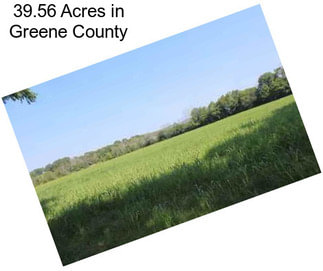39.56 Acres in Greene County
