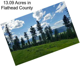 13.09 Acres in Flathead County