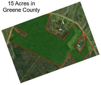 15 Acres in Greene County