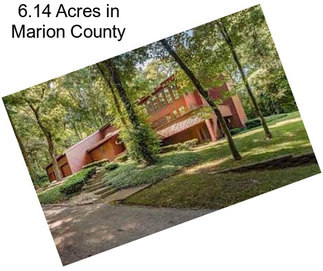 6.14 Acres in Marion County