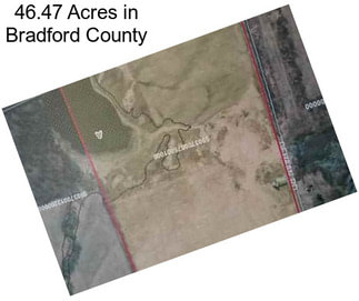 46.47 Acres in Bradford County