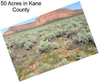 50 Acres in Kane County