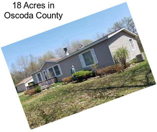 18 Acres in Oscoda County