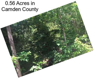 0.56 Acres in Camden County