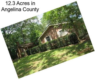 12.3 Acres in Angelina County