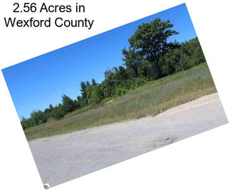 2.56 Acres in Wexford County