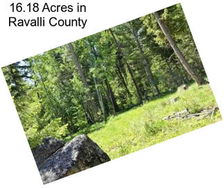 16.18 Acres in Ravalli County