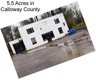 5.5 Acres in Calloway County