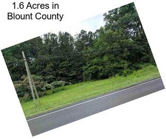 1.6 Acres in Blount County